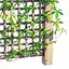 Pérgola con celosía