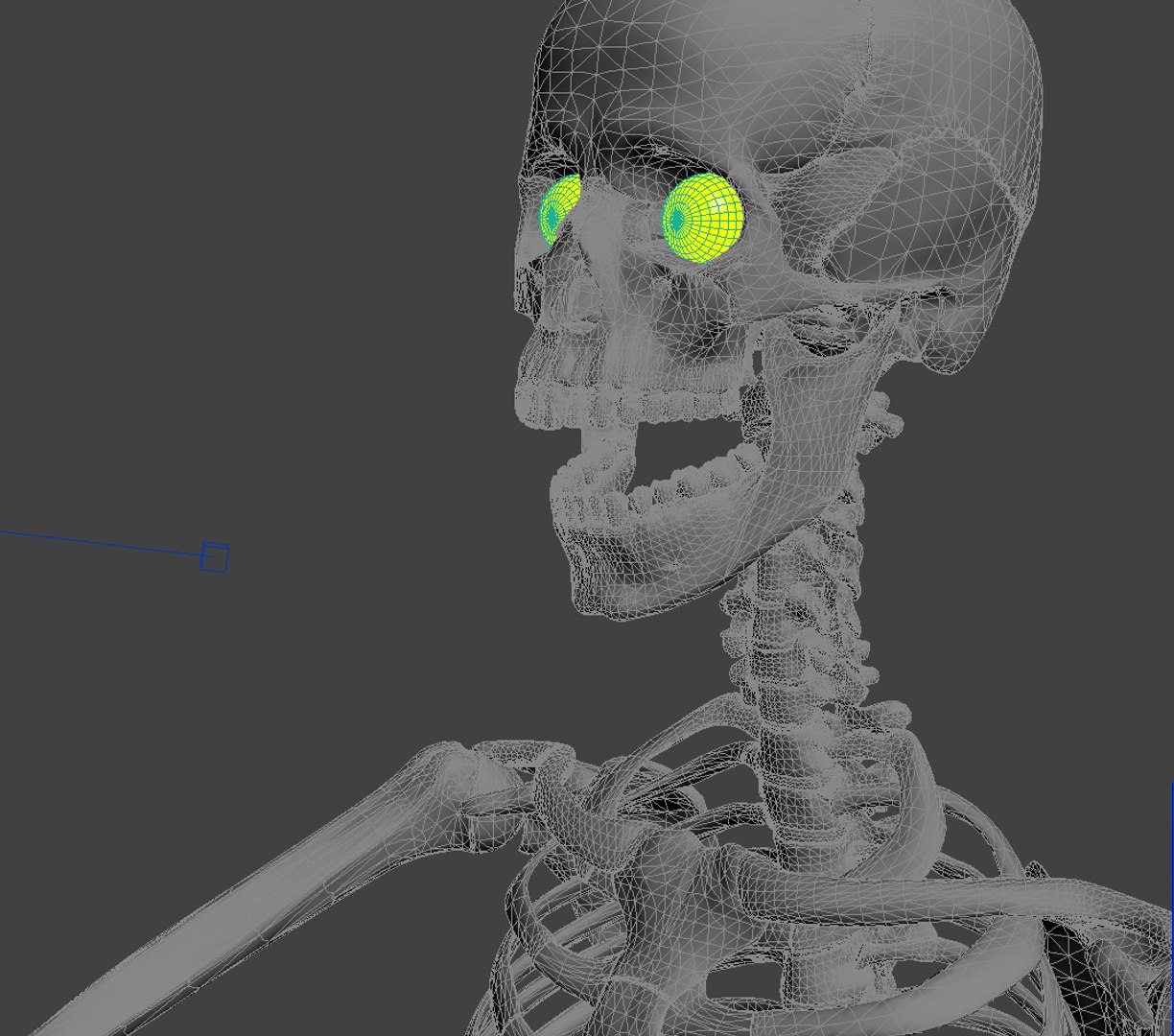 skeleton rigged 3d model