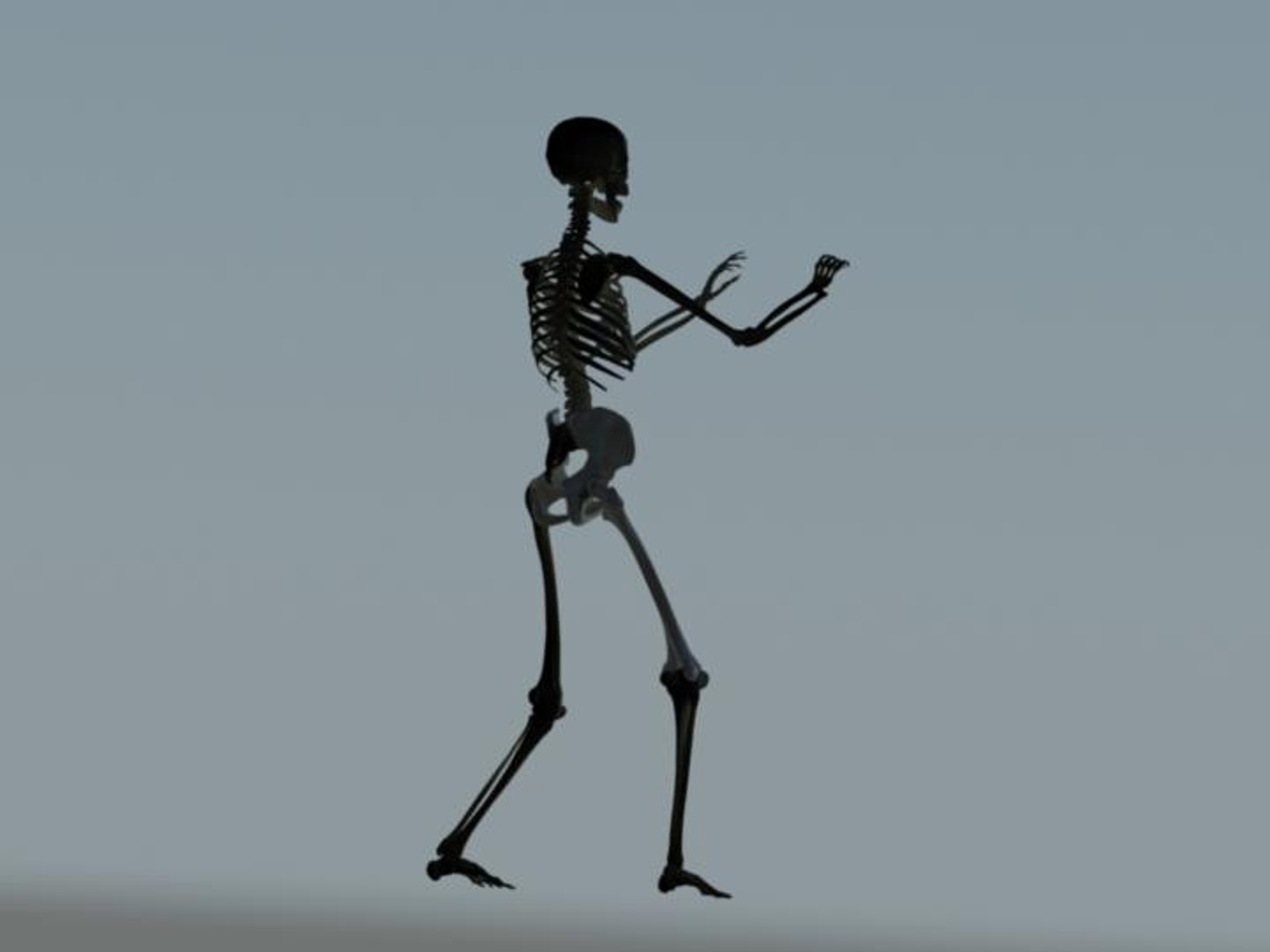 skeleton rigged 3d model