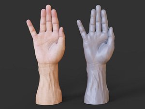 Male Hand Pose 19 3D model