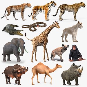 Rigged African Animals Collection 10 for Cinema 4D