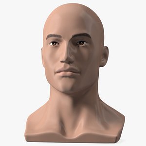 Nude Plastic Male Mannequin Head