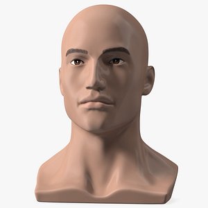 Nude Plastic Male Mannequin Head