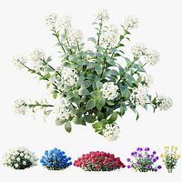 AV Plants Bigleaf Hydrangeas Arborescens Hydrangea Macrophylla Garden Gate