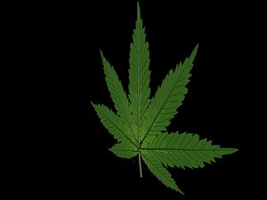 pot leaf 3d 3ds