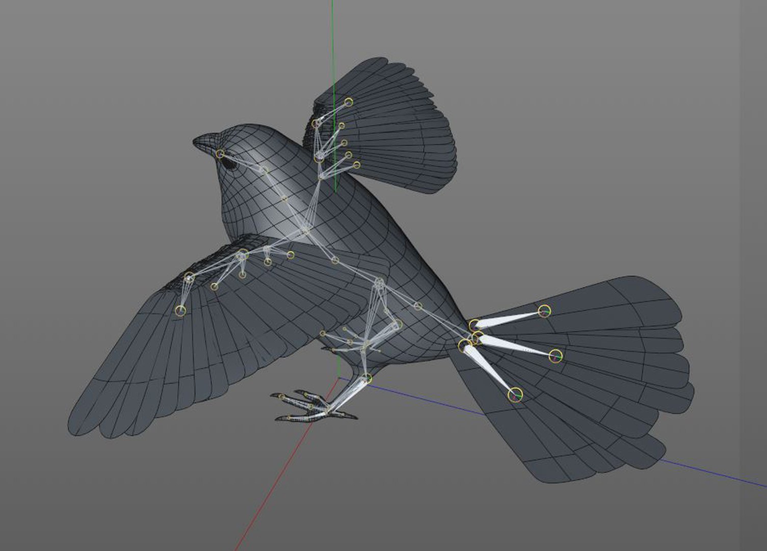 Chikadee bird rig model. Finch 3d. Finch 3d. Chikadee bird rig model. Low poly 3d bird.