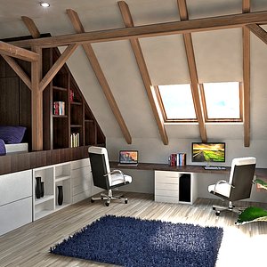 interior home office attic max