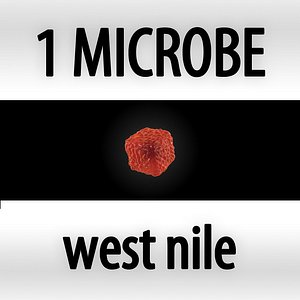 3ds max microbes micro organisms