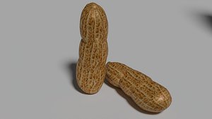 3D model Peanut