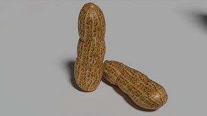Peanut