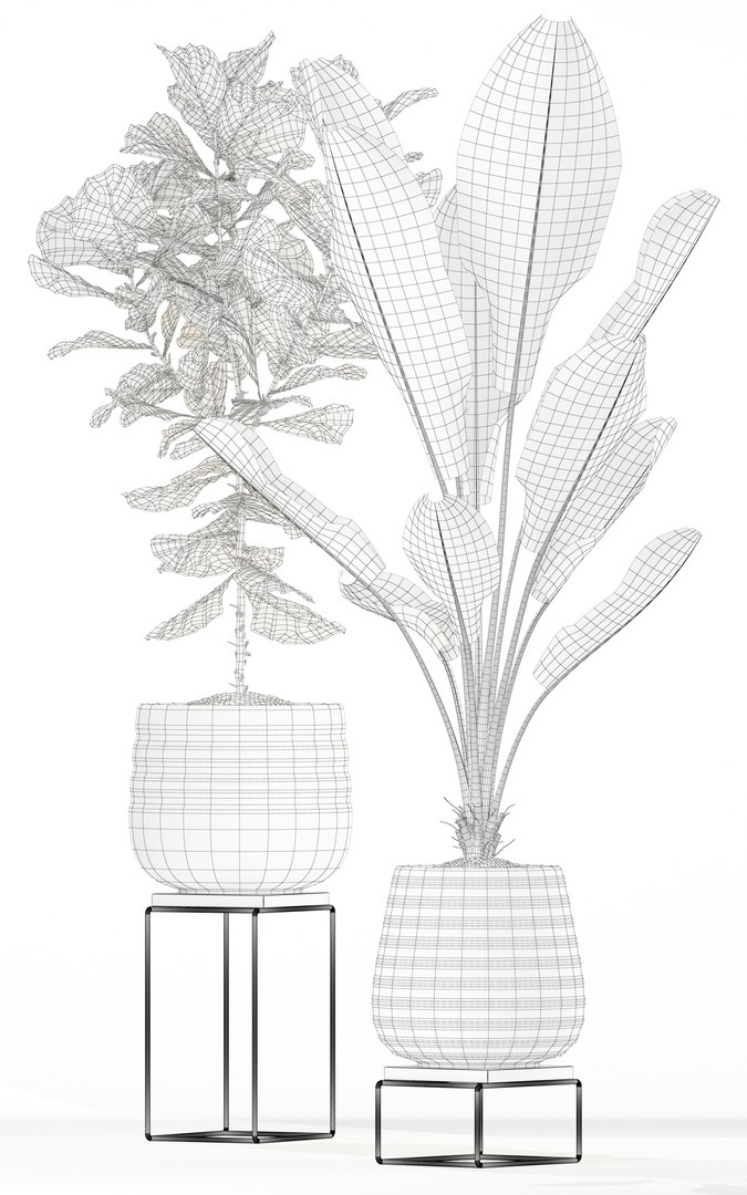 plants 180 model https://p.turbosquid.com/ts-thumb/Pq/sEXjFo/h2T0na5I/plant_180_05/jpg/1562417365/1920x1080/fit_q87/50b6bcc4ce77abe0a2fb251c55901e71de616e01/plant_180_05.jpg