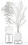 Plants collection 180