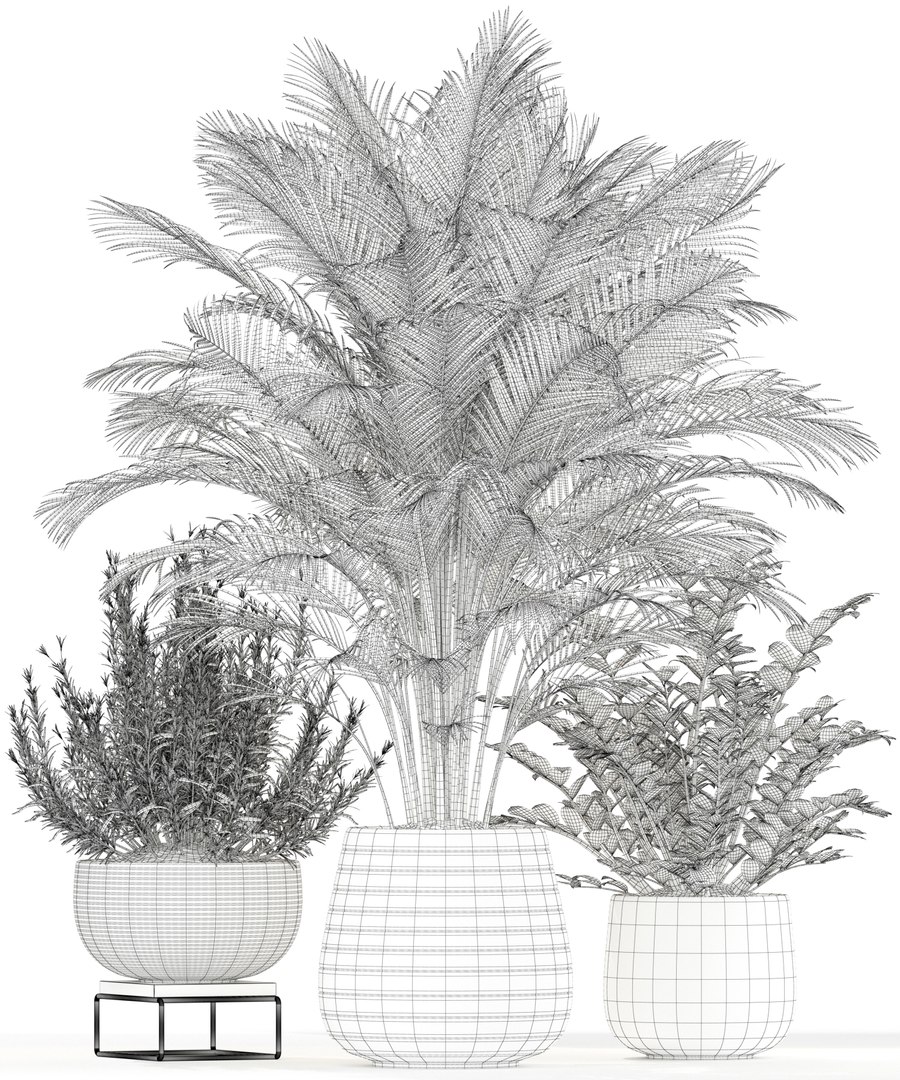 plants 180 model https://p.turbosquid.com/ts-thumb/Pq/sEXjFo/hk9iMbVJ/plant_180_03/jpg/1562417365/1920x1080/fit_q87/161a4e041abe39db3d9d0c33fc87eac250f41bd0/plant_180_03.jpg