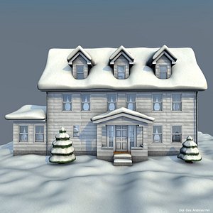 winter house white