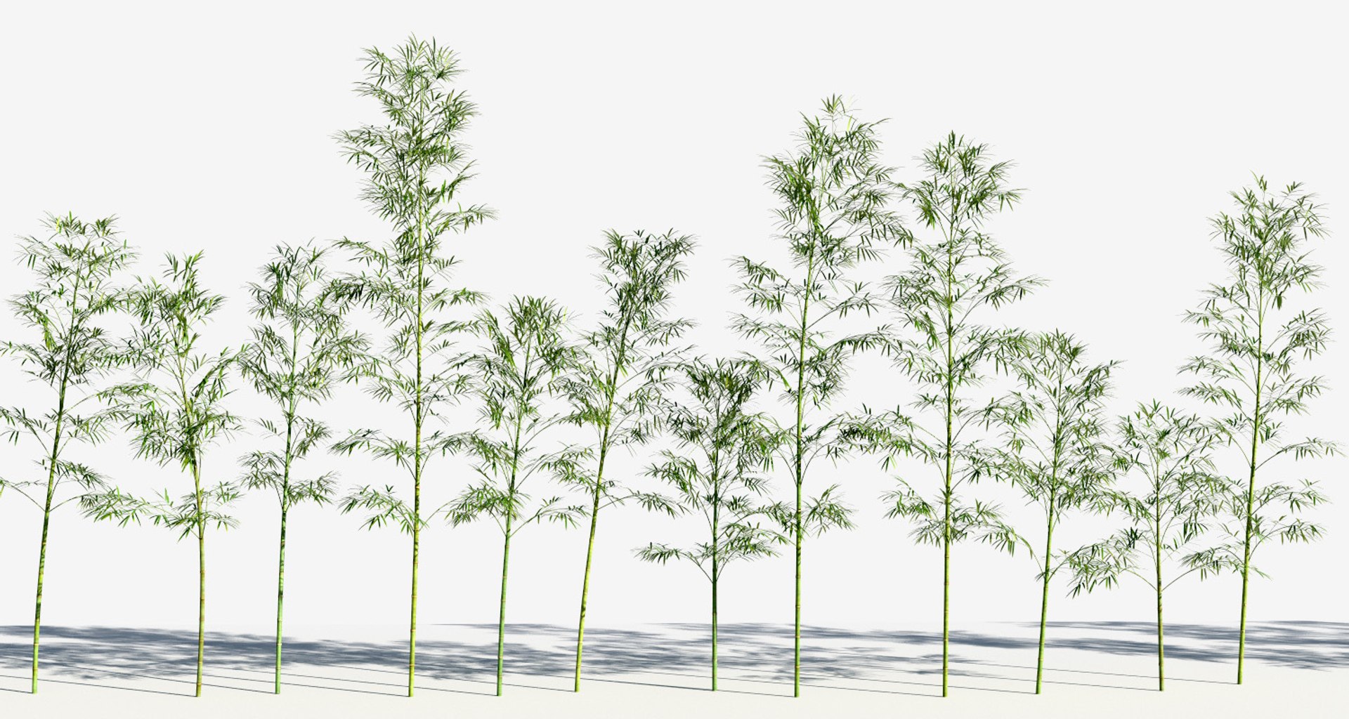 bamboo trees 3 max https://p.turbosquid.com/ts-thumb/Pr/J6ad73/hgbewiX3/bamboo_37/jpg/1490189207/1920x1080/fit_q87/e73e1184ba3d296019a0073ddf15e89fd5bc3401/bamboo_37.jpg