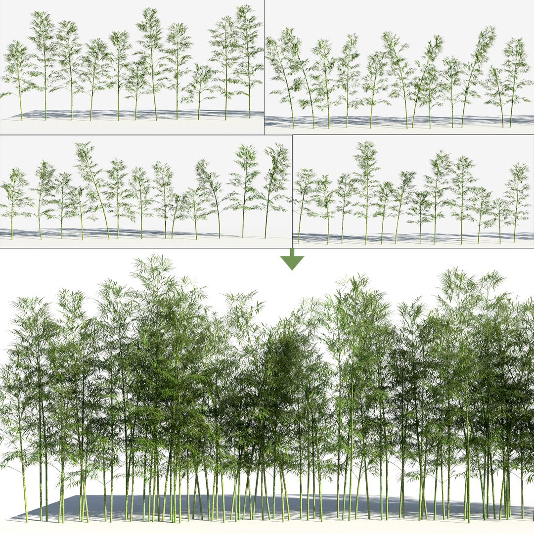 bamboo trees 3 max https://p.turbosquid.com/ts-thumb/Pr/J6ad73/zaDOIWjy/bamboo_33/jpg/1490189207/1920x1080/fit_q87/b6d71a837e7e6a53cda2693c584c2785110ed4cc/bamboo_33.jpg