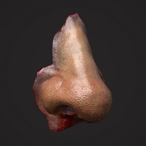 severed nose 3D