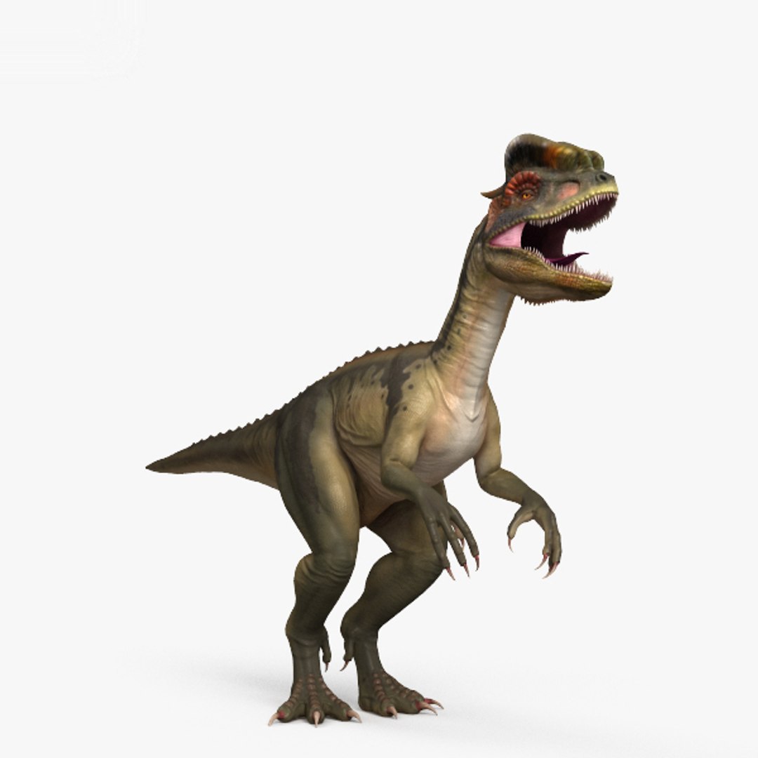 Dilophosaurus Dinosaurs 3D Model - TurboSquid 1492305