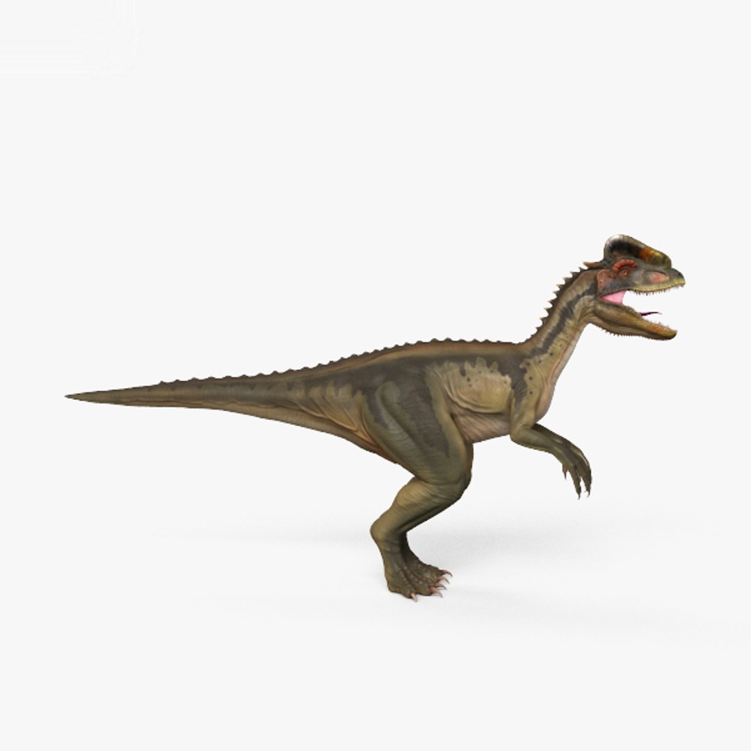 Dilophosaurus Dinosaurs 3D Model - TurboSquid 1492305