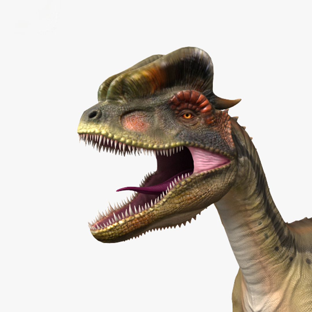 Dilophosaurus dinosaurs 3D model - TurboSquid 1492305