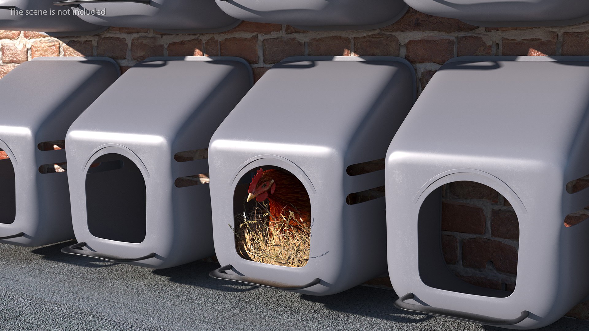 Chicken In Wall Mount Nesting Nest Box 3D Model - TurboSquid 2112263