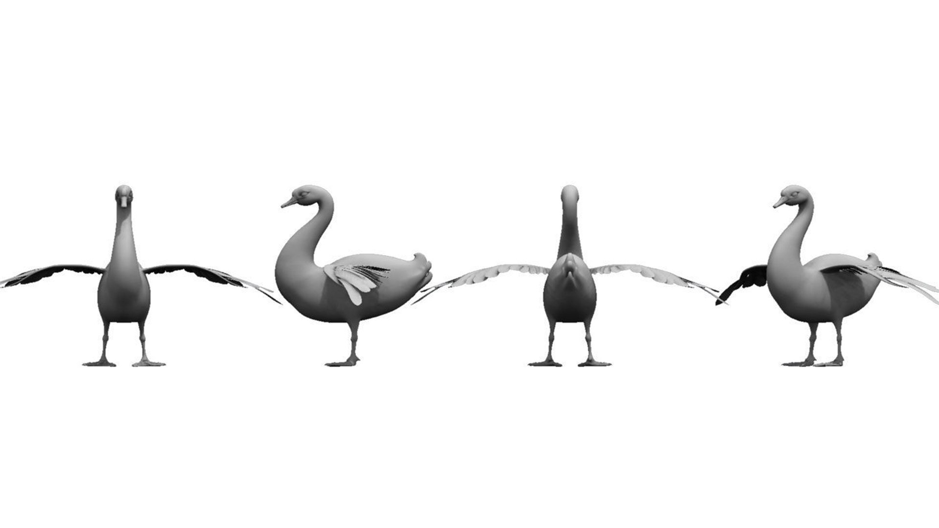 3D swans bird https://p.turbosquid.com/ts-thumb/Pr/n45Ne8/LE/a2/jpg/1777319419/1920x1080/fit_q87/e3bcde95d4fd768e803f7458a01fe7b56460eecf/a2.jpg