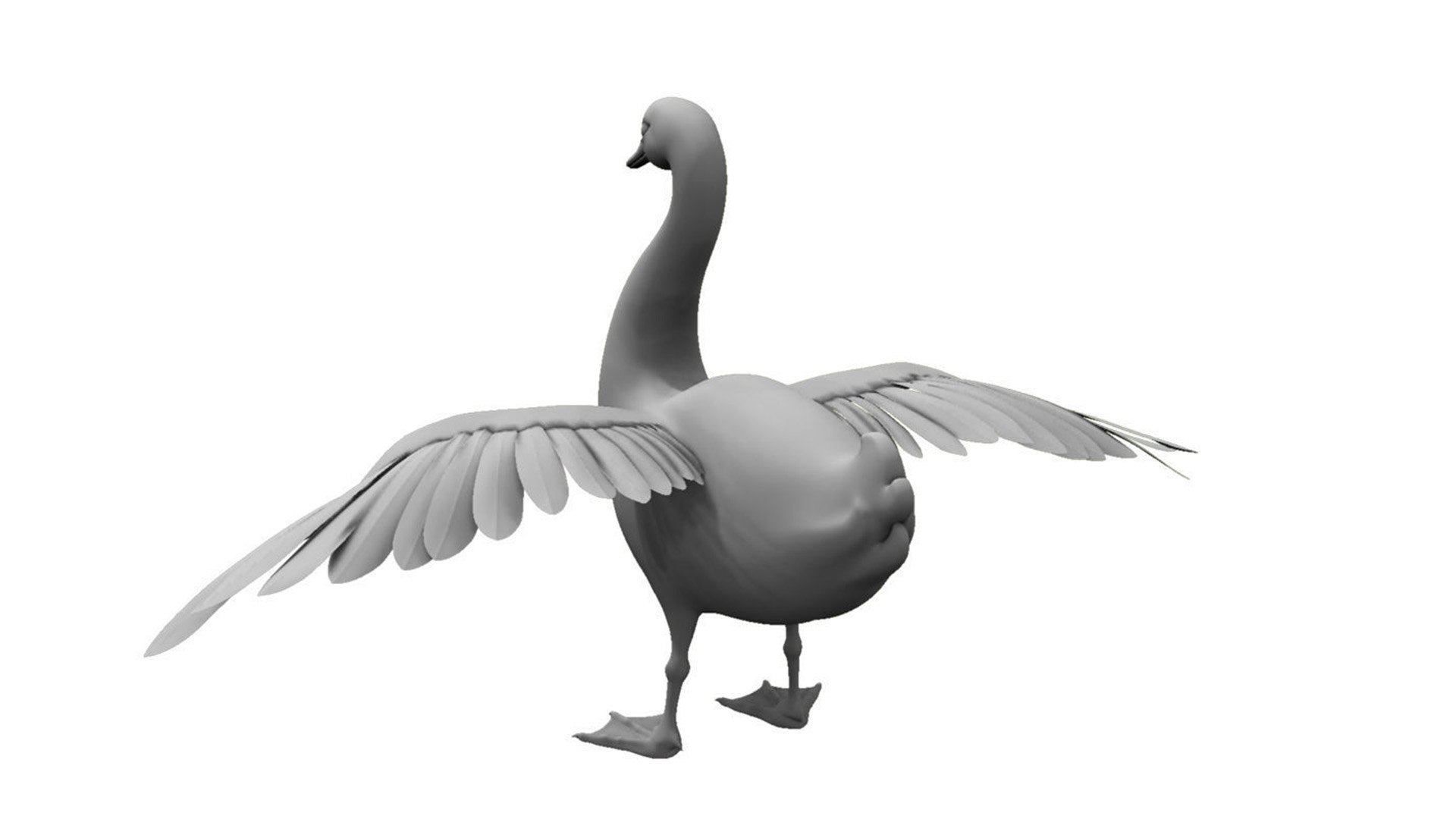 3D swans bird https://p.turbosquid.com/ts-thumb/Pr/n45Ne8/oo/a4/jpg/1777319419/1920x1080/fit_q87/b9c486c7972e2854e46554bbd6186cbafeb21669/a4.jpg
