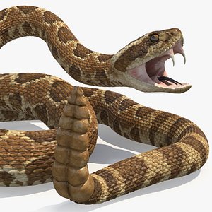 Light Rattlesnake Rigged