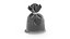 Sac d'argent