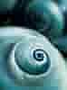 member avatar