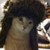 member avatar