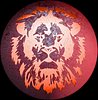 member avatar