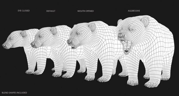 3D model bear fur - TurboSquid 1227484