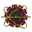 Coronavirus Sars CoV 2 Sars-CoV-2 With Quarantine