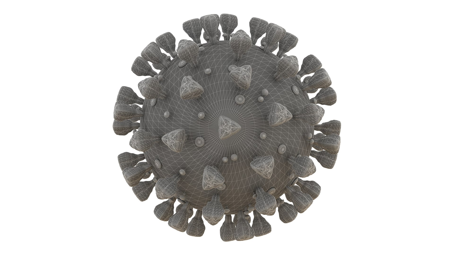 coronavirus sars-cov-2 3D https://p.turbosquid.com/ts-thumb/Ps/BKStg2/5JeAd7EU/wireframe02/jpg/1591718185/1920x1080/fit_q87/34a02e878ad8476668da98f9cbf8aa2c0e390b81/wireframe02.jpg