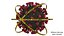 Coronavirus Sars CoV 2 Sars-CoV-2 With Quarantine