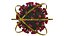 Coronavirus Sars CoV 2 Sars-CoV-2 With Quarantine