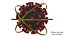 Coronavirus Sars CoV 2 Sars-CoV-2 With Quarantine