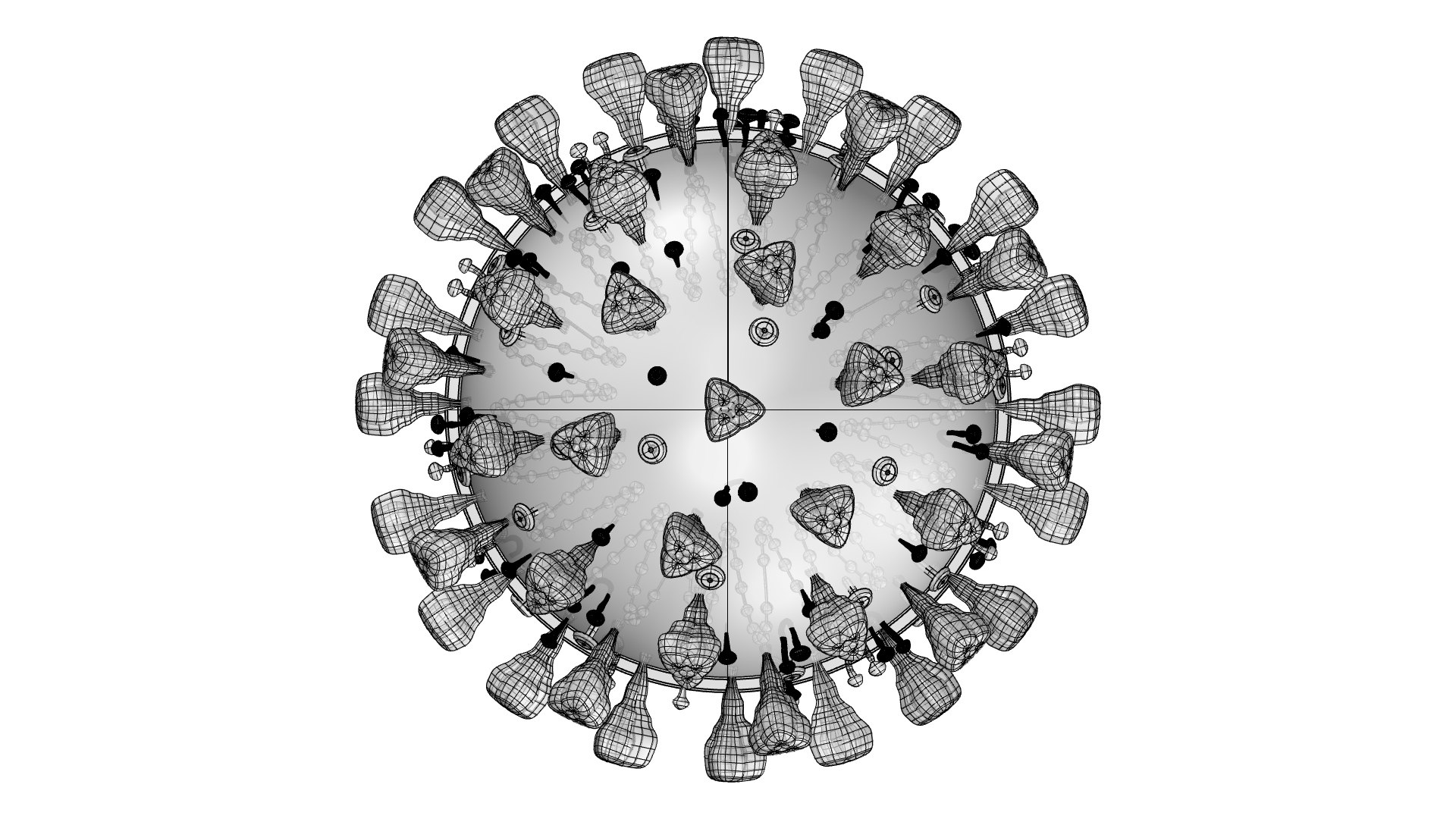 coronavirus sars-cov-2 3D https://p.turbosquid.com/ts-thumb/Ps/BKStg2/Qz7iWNH7/wireframe09/jpg/1591657366/1920x1080/fit_q87/50bed39c362f9d5434ce53d8702c42be0a1d3589/wireframe09.jpg