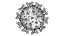 Coronavirus Sars CoV 2 Sars-CoV-2 With Quarantine