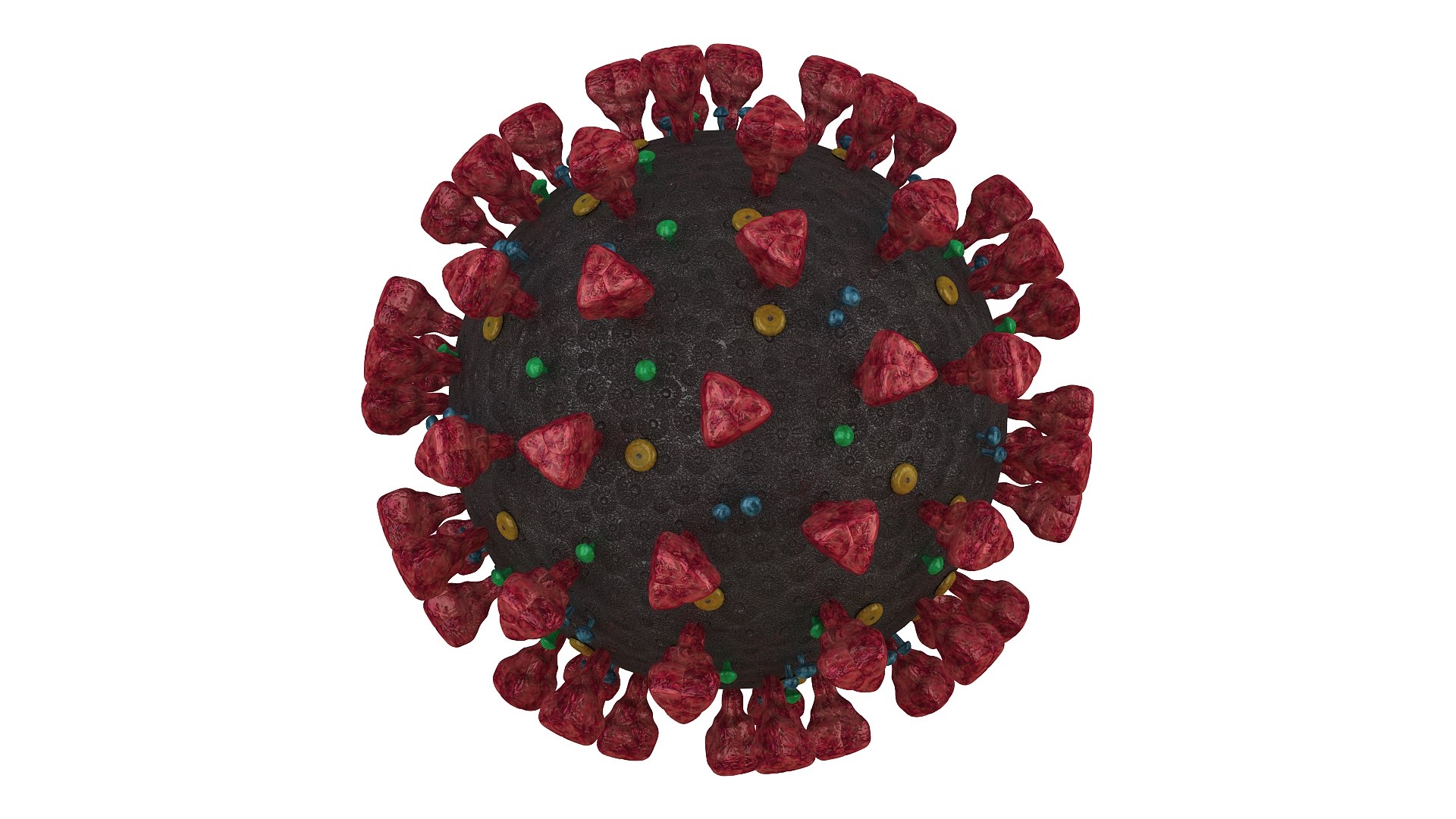 coronavirus sars-cov-2 3D https://p.turbosquid.com/ts-thumb/Ps/BKStg2/bfC9kJuV/01/jpg/1591657365/1920x1080/fit_q87/4ce060a96bd6c45344c2c2e13cb6804a4aad401e/01.jpg