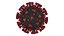 Coronavirus Sars CoV 2 Sars-CoV-2 With Quarantine