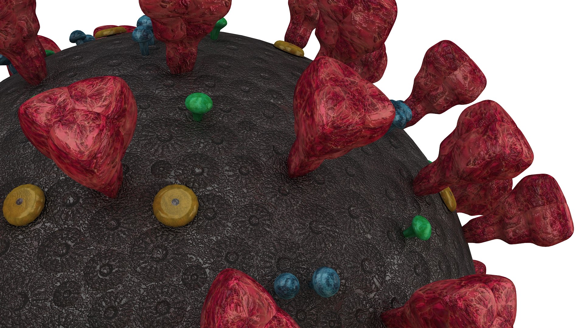 coronavirus sars-cov-2 3D https://p.turbosquid.com/ts-thumb/Ps/BKStg2/p0et5ijE/closeup01/jpg/1591657365/1920x1080/fit_q87/3ae55ab0ffe38bc9e39757741fbc42dfd376ed97/closeup01.jpg
