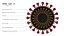 Coronavirus Sars CoV 2 Sars-CoV-2 With Quarantine