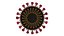 Coronavirus Sars CoV 2 Sars-CoV-2 With Quarantine