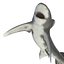 3ds oceanic whitetip shark pose