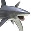 3ds oceanic whitetip shark pose