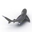 3ds oceanic whitetip shark pose