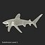 3ds oceanic whitetip shark pose