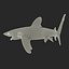 3ds oceanic whitetip shark pose